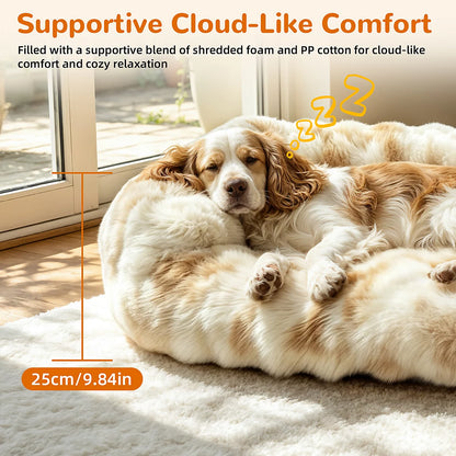 Spaniel asleep on the 25 cm deep Ivory Cream sofa bed filled with shredded foam and PP cotton