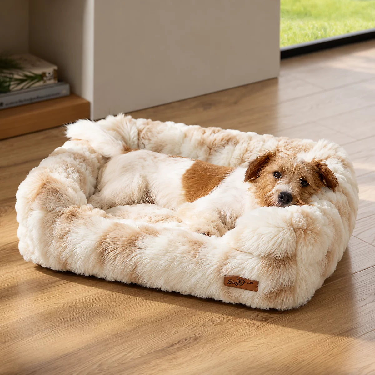 Small terrier in the medium Ivory Cream fluffy dog sofa bed