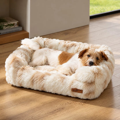 Small terrier in the medium Ivory Cream fluffy dog sofa bed