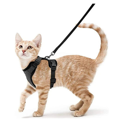 Comfortable Breathable Cat Harness Leash Set
