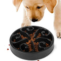 Stable Non-Slip Dog Food Bowl for Healthy Eating