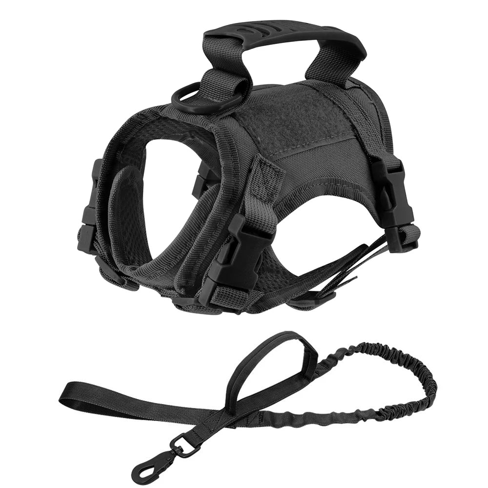 Durable Outdoor Cat Vest & Leash