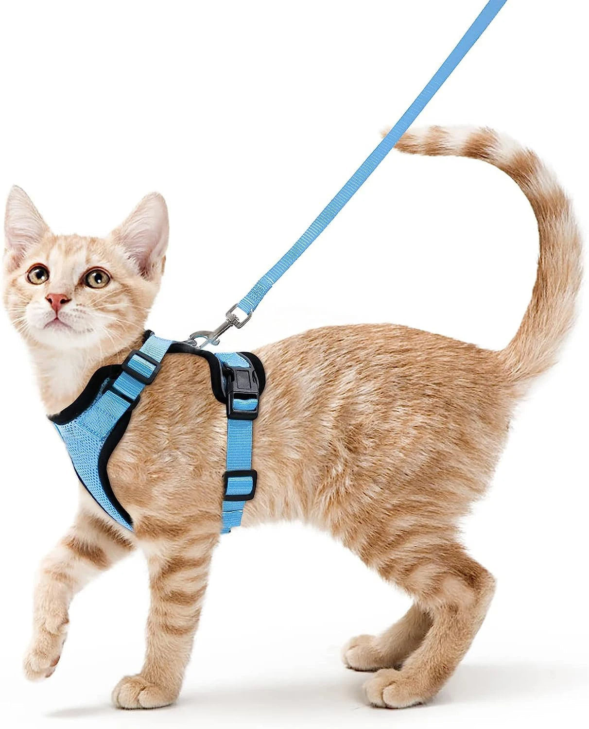Comfortable Breathable Cat Harness Leash Set
