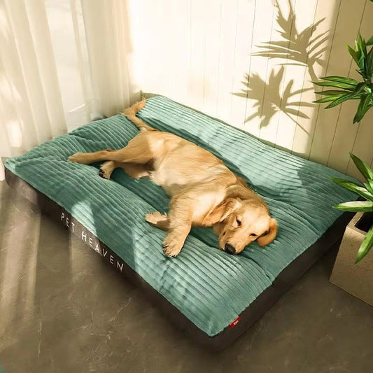 Plush Orthopedic Dog Pillow with Removable Cover - LifyPet