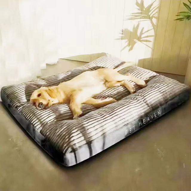 Plush Orthopedic Dog Pillow with Removable Cover