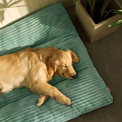 Plush Orthopedic Dog Pillow with Removable Cover