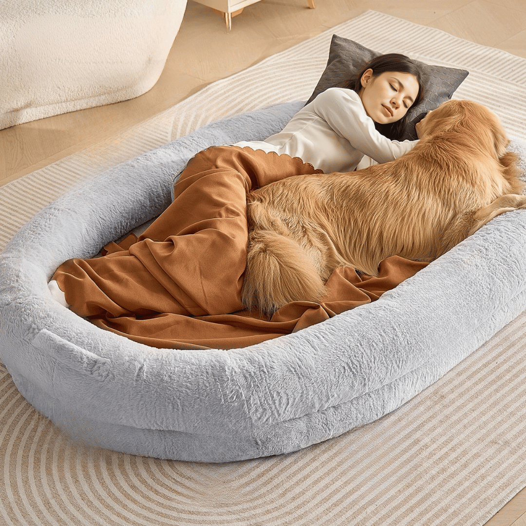 Comfortable Orthopedic Dog Bed for Humans and Pets - LifyPet