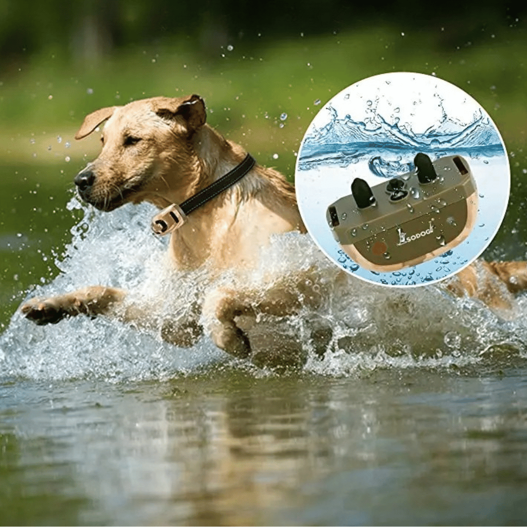 Waterproof Remote Control Dog Training Collar 600m Range