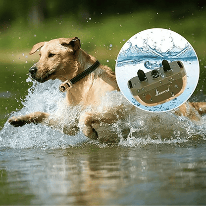 Waterproof Remote Control Dog Training Collar 600m Range