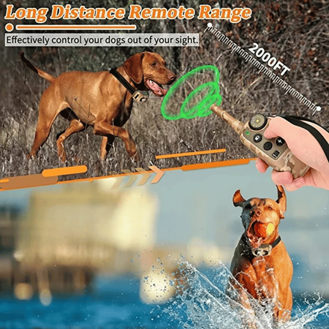 Waterproof Remote Control Dog Training Collar 600m Range
