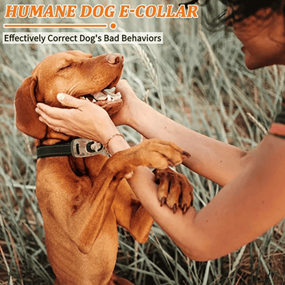 Waterproof Remote Control Dog Training Collar 600m Range
