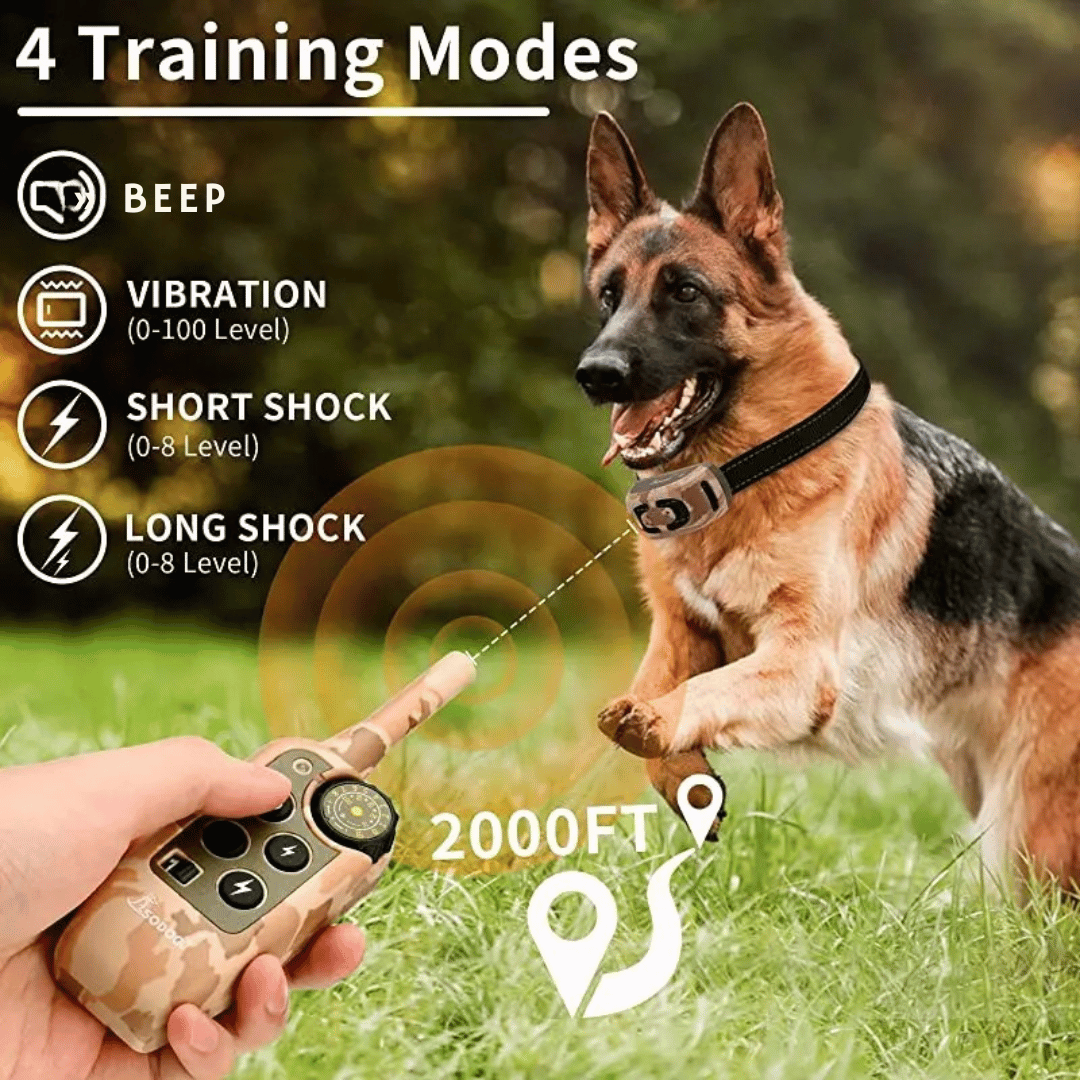 Waterproof Remote Control Dog Training Collar 600m Range
