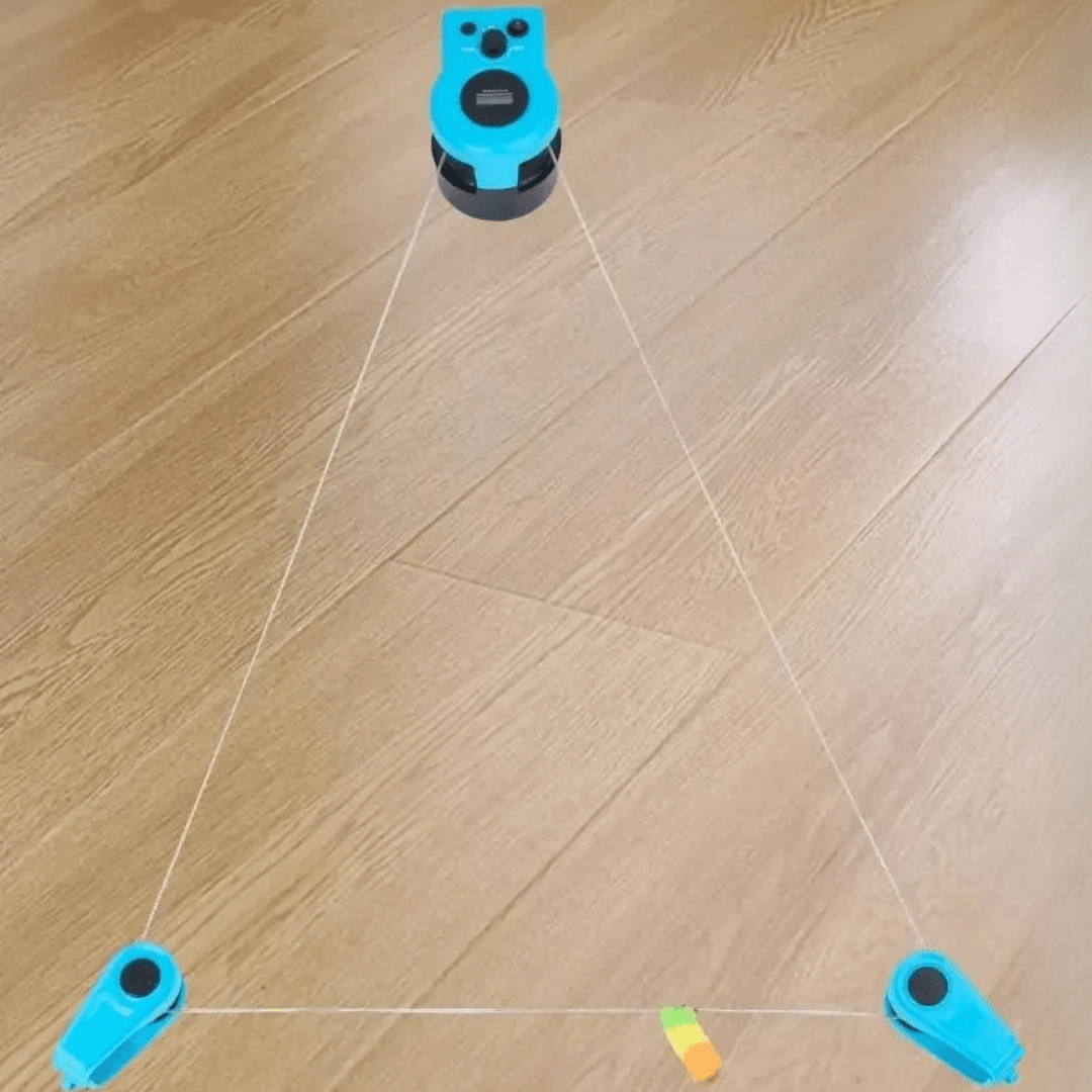 Fun Cat Laser Pointer Toy