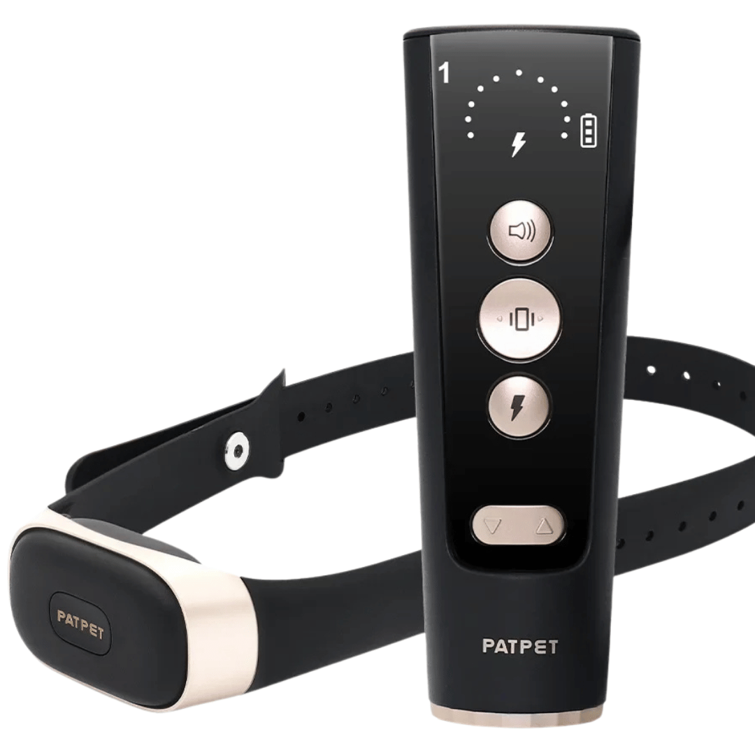 Waterproof Rechargeable Dog Trainer Collar & Remote - LifyPet