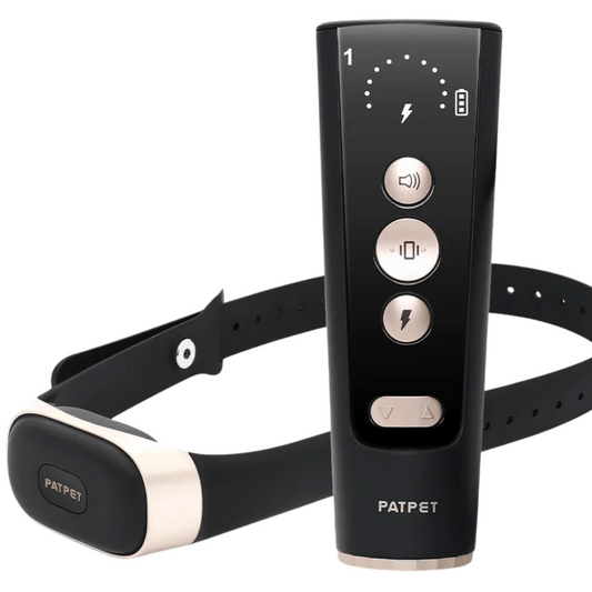 Waterproof Rechargeable Dog Trainer Collar & Remote - LifyPet