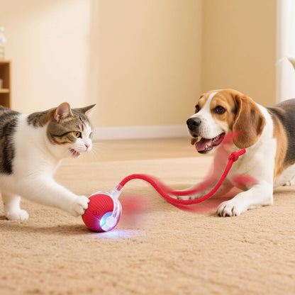 Cat and beagle chasing the red self-rolling ChaseBall on a carpet