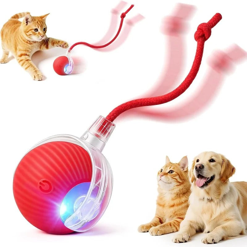 Red ChaseBall interactive rolling ball with rope tail, with a cat and a golden retriever