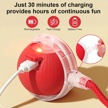 ChaseBall USB charging port under the silicone flap, rechargeable with no batteries