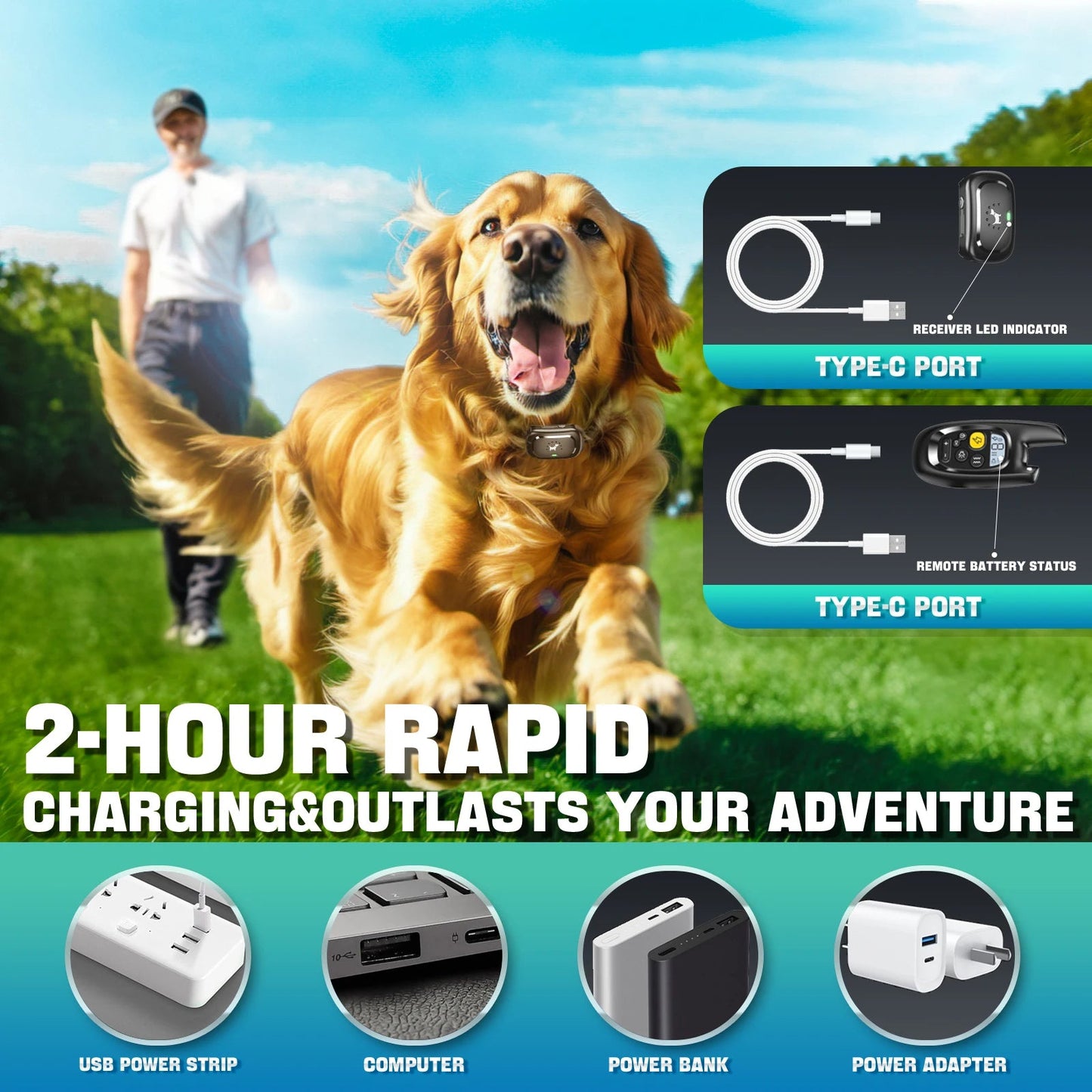 Adjustable Dog Training Collar for Effective Bark Control