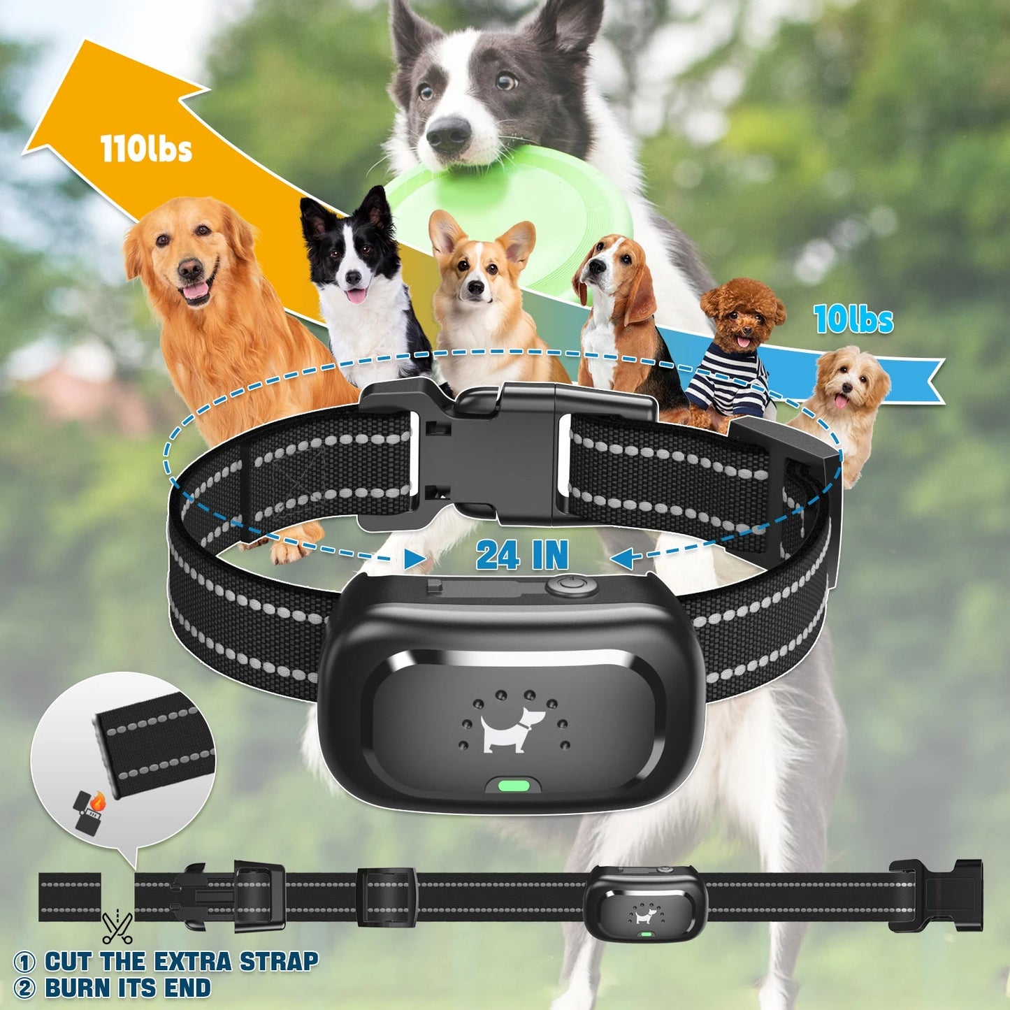 Adjustable Dog Training Collar for Effective Bark Control