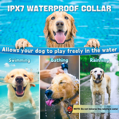 Adjustable Dog Training Collar for Effective Bark Control