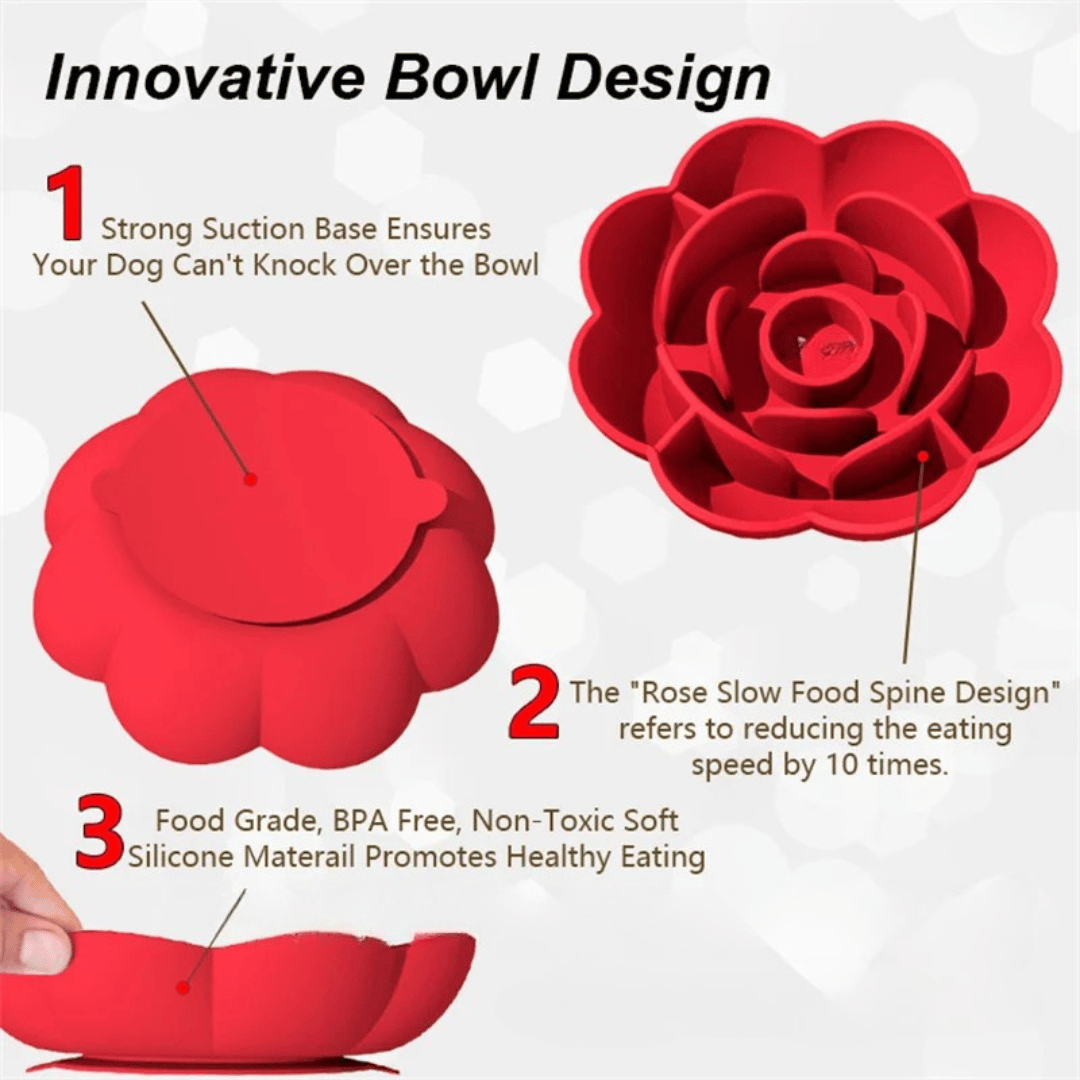 Non-Slip Fun Feeder Dog Bowl for Healthy Eating