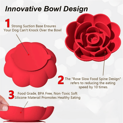 Non-Slip Fun Feeder Dog Bowl for Healthy Eating