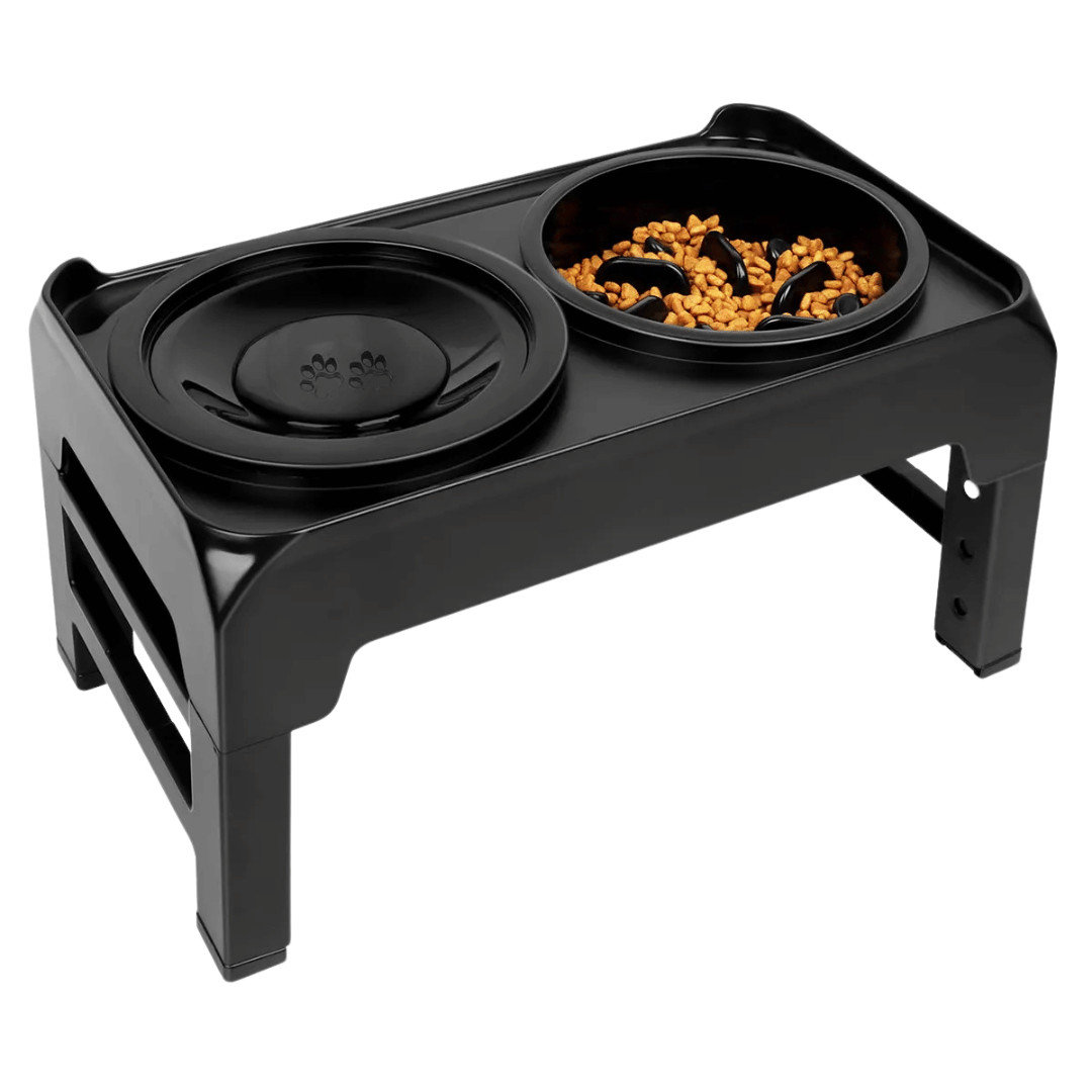 Elevated Dog Feeder with Anti-Gulping Dog Food Bowls - LifyPet