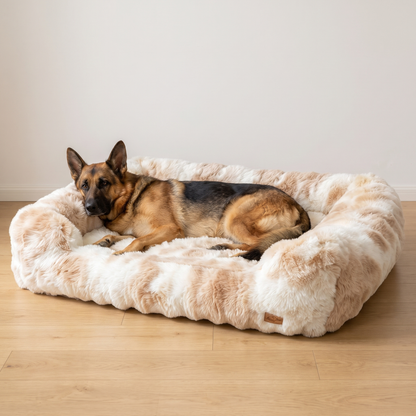 German Shepherd in the size 2XL Ivory Cream fluffy dog sofa bed, extra large dog bed