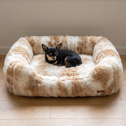 Black and tan chihuahua in the size M Ivory Cream fluffy dog sofa bed, small dog bed with bolsters