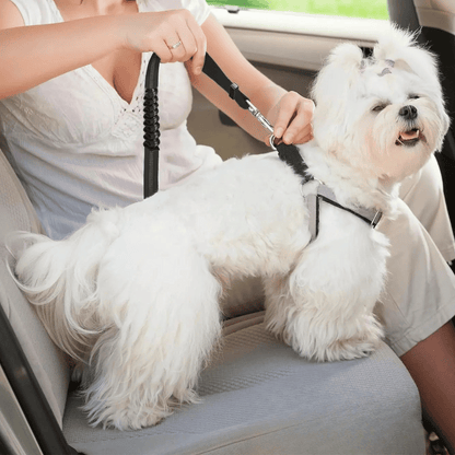 Strong Pet Car Harness for Safe Driving