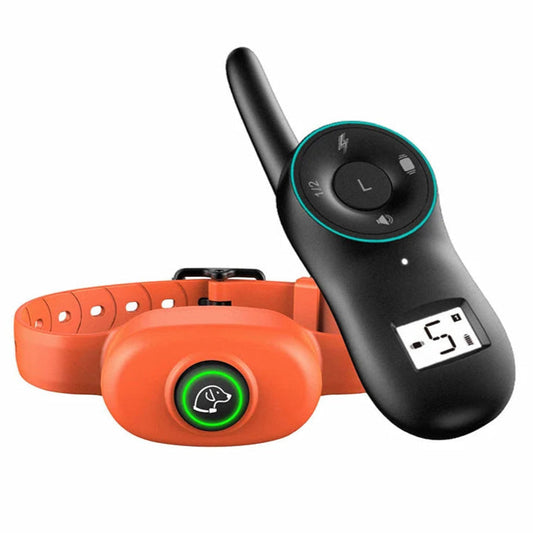 Long Range Waterproof Dog Training Collar - LifyPet