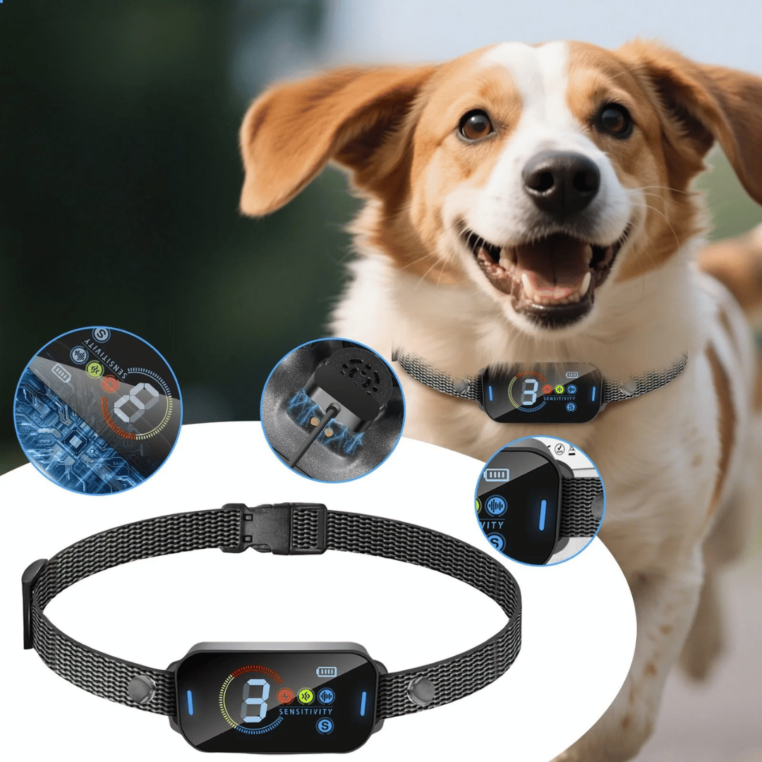 Effective Dog Training Collar | Quick Charge Comfortable Pet Collar
