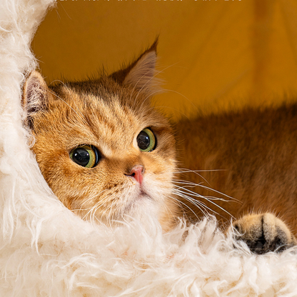 Cozy Pet Cat House Bed