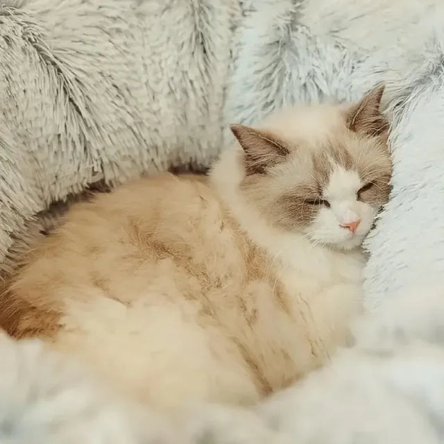 Cozy Cat Hideaway Tunnel Bed