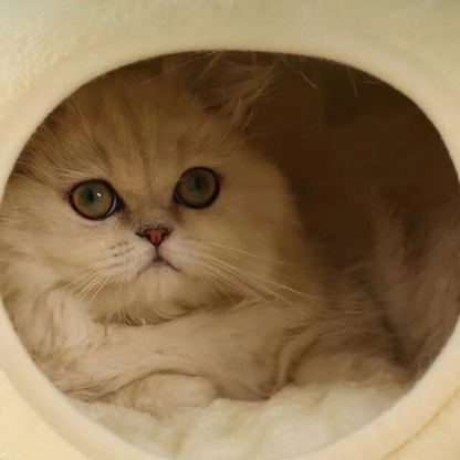 Cozy Pet Hideaway Bed House