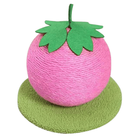 Fun Cat Play Scratching Ball Toy - LifyPet