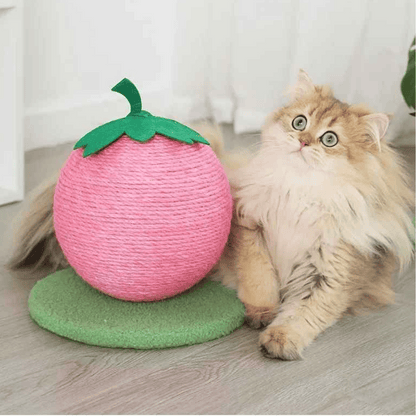 Fun Cat Play Scratching Ball Toy