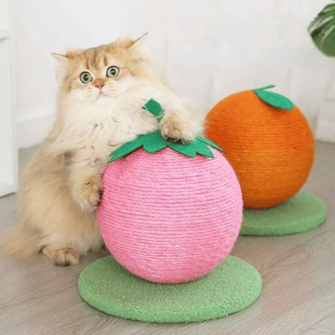 Fun Cat Play Scratching Ball Toy