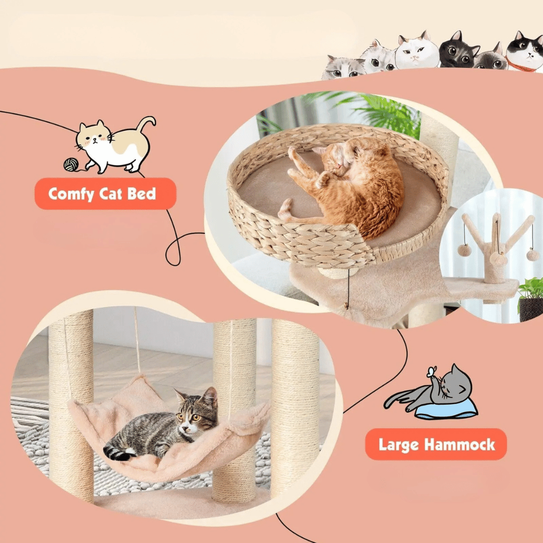 Cute Multi Level Cat Climber with Bed & Hideaway
