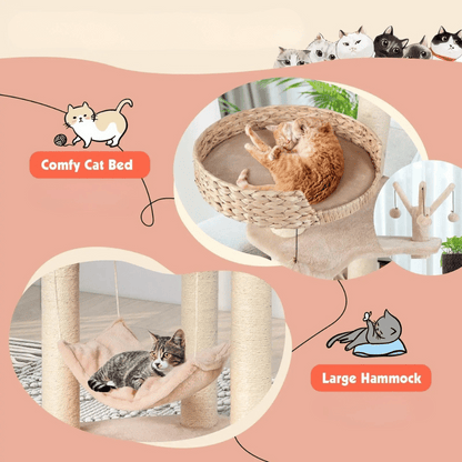 Cute Multi Level Cat Climber with Bed & Hideaway