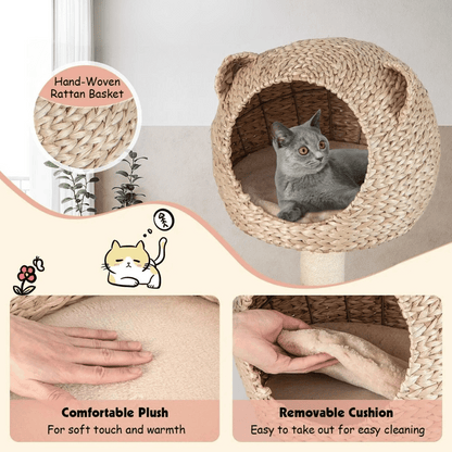 Cute Multi Level Cat Climber with Bed & Hideaway