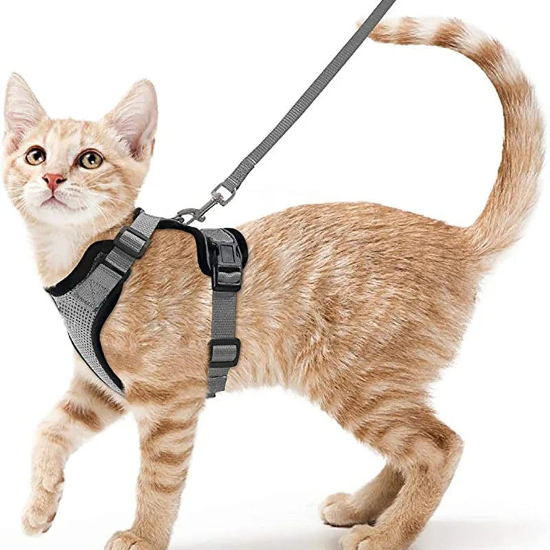 Comfortable Breathable Cat Harness Leash Set