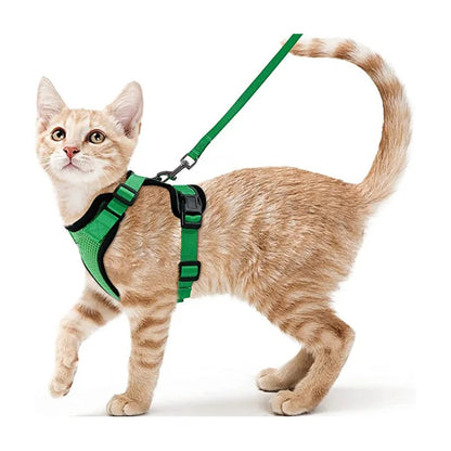 Comfortable Breathable Cat Harness Leash Set - LifyPet