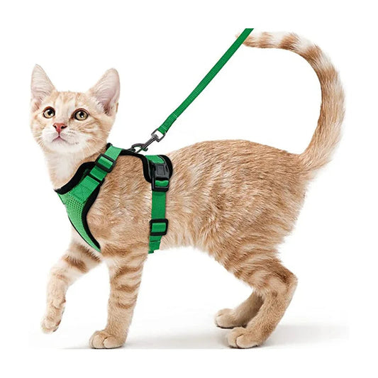 Comfortable Breathable Cat Harness Leash Set - LifyPet