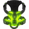 Visible LED Dog Vest for Nighttime Walking Safety