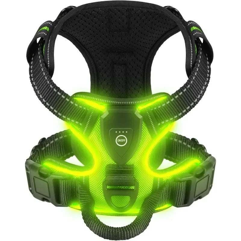 Visible LED Dog Vest for Nighttime Walking Safety - LifyPet