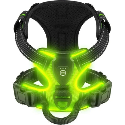 Visible LED Dog Vest for Nighttime Walking Safety - LifyPet