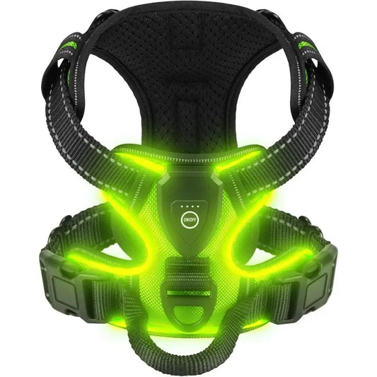 Visible LED Dog Vest for Nighttime Walking Safety - LifyPet