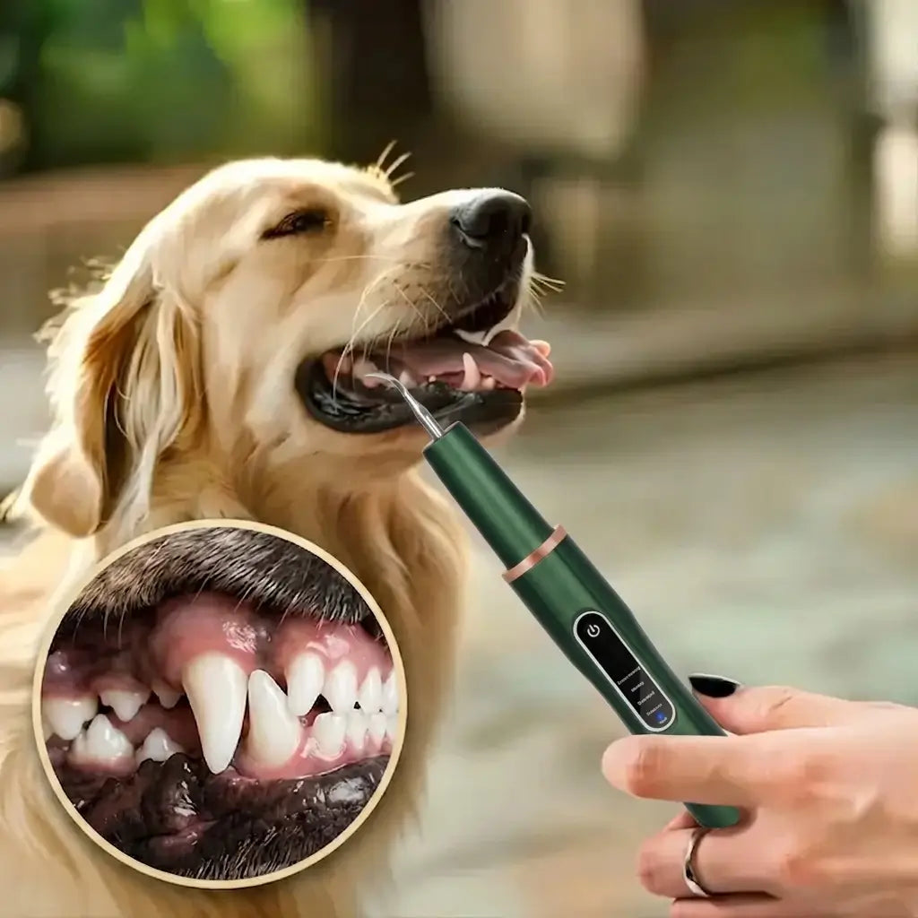 green dog teeth scaler